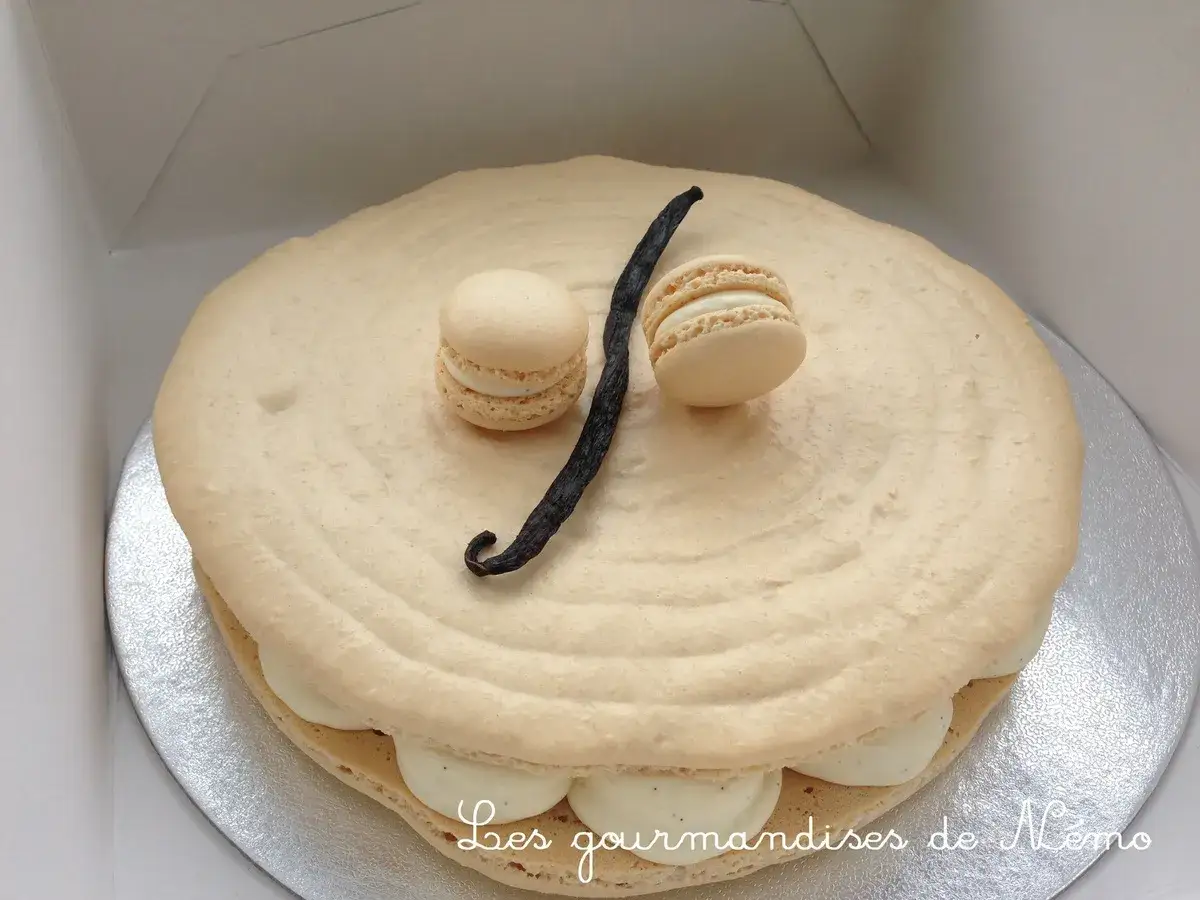 Un délicieux gâteau macaron à la vanille, orné de deux petits macarons et d'une gousse de vanille.