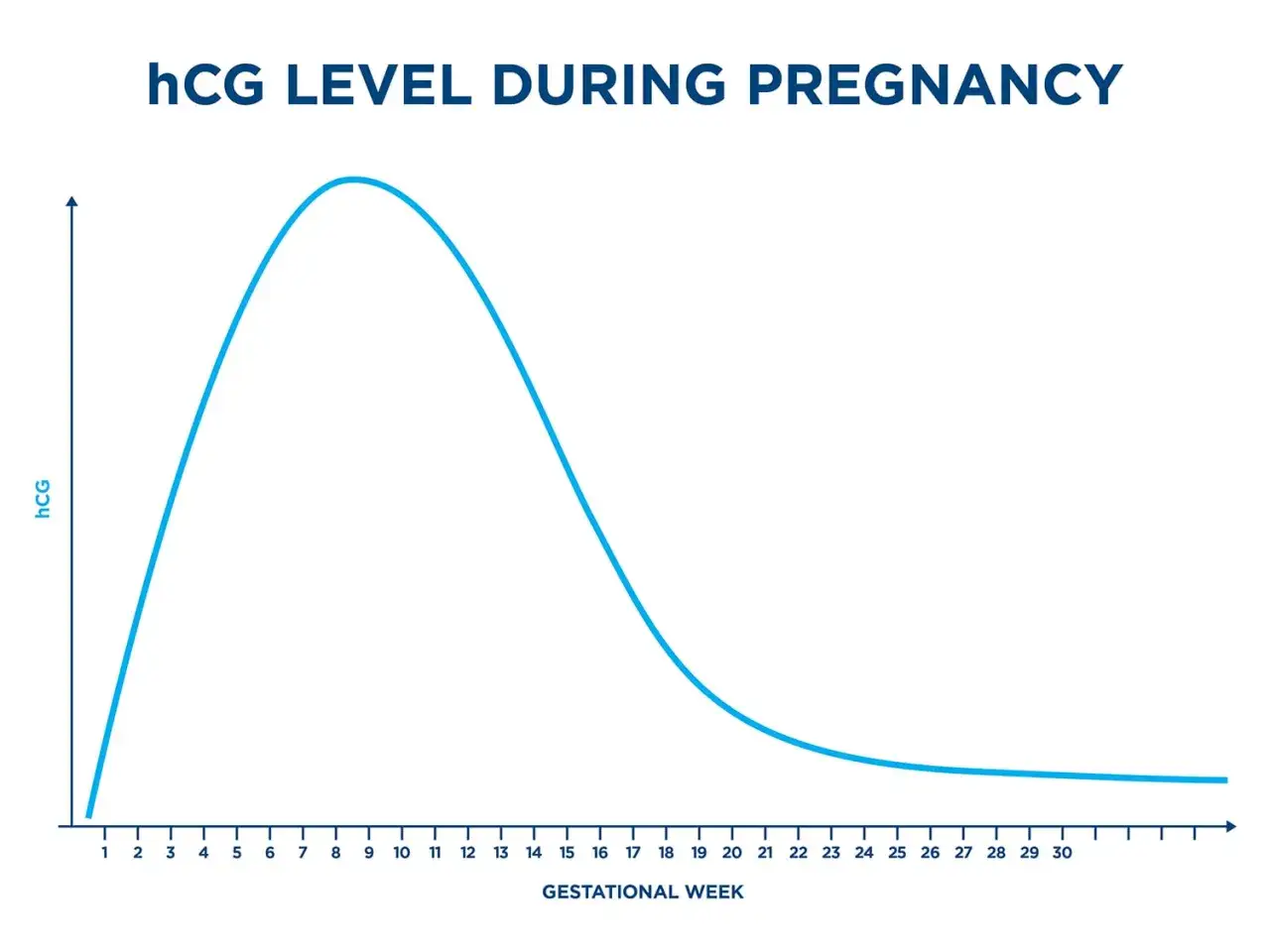 Gr&aacute;fico muestra niveles de beta-hCG durante el embarazo, con un pico alrededor de la semana 9 y luego un descenso gradual.
