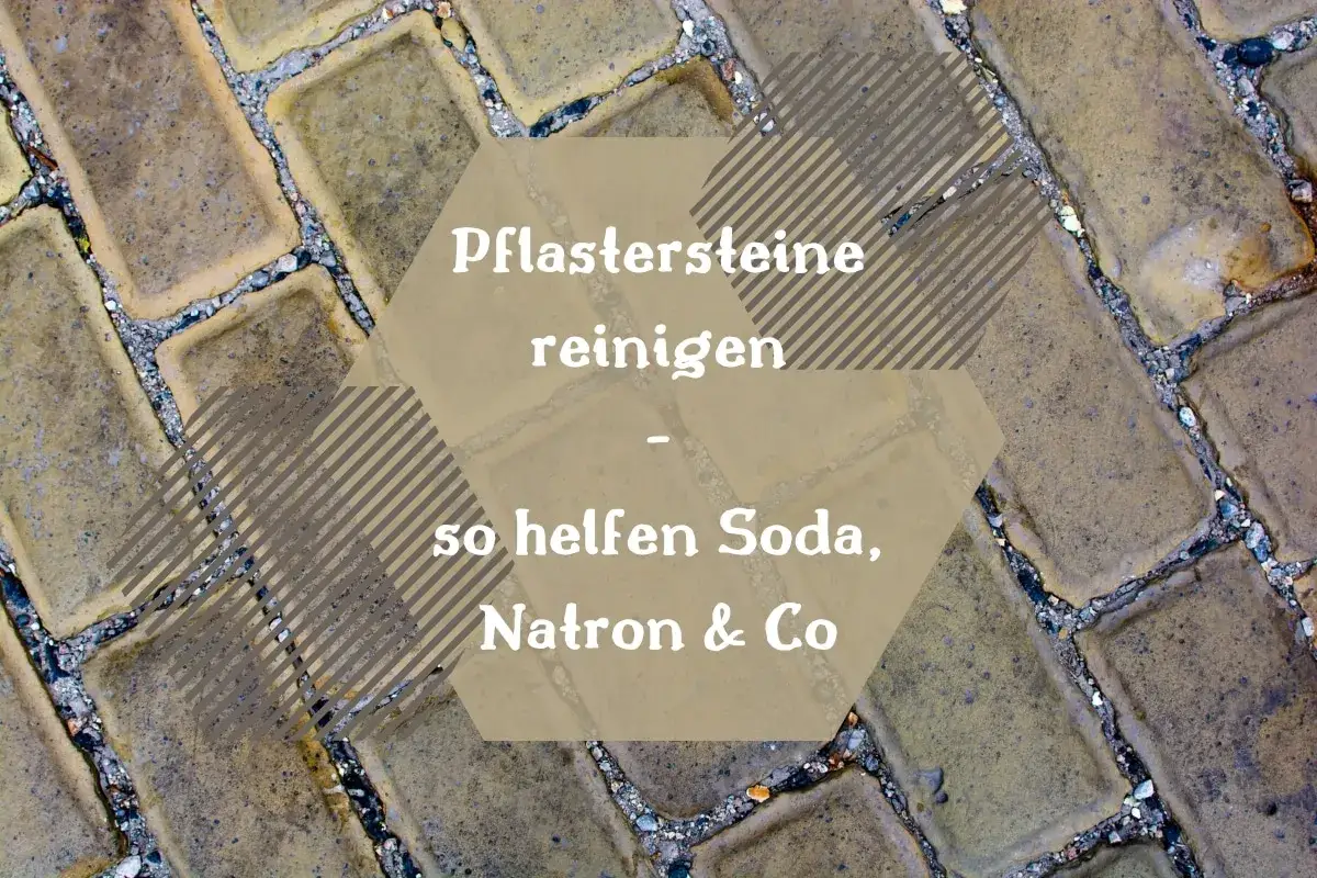 Pflastersteine reinigen: So hilft Soda gegen Moos und Schmutz auf dem Weg.