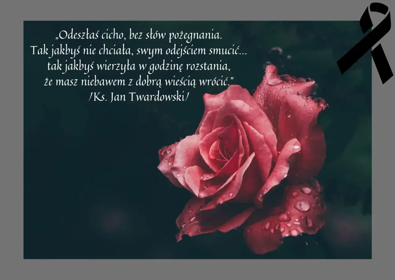 Róża z kroplami deszczu, symbol ostatniego pożegnania wzór. Cytat z Jana Twardowskiego. Czarna wstęga żałobna.