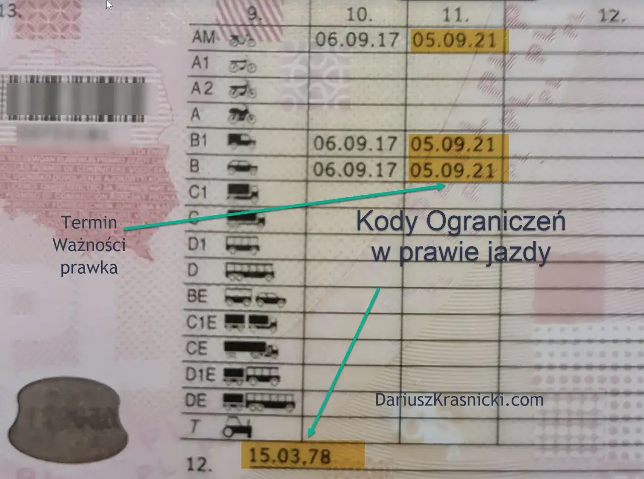 Problem status prawa jazdy