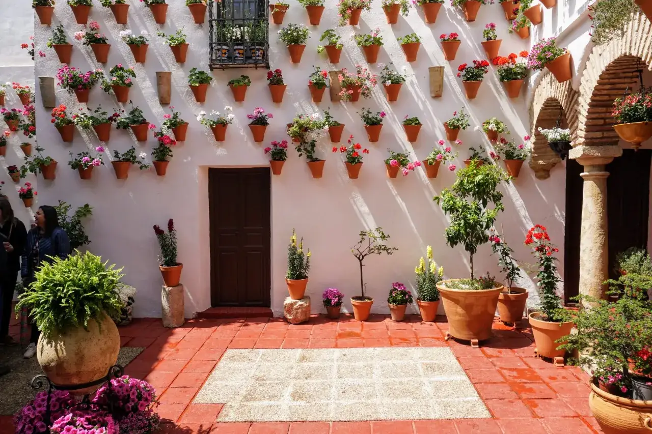 Blumenpracht an den Wänden, ein typisches Bild der patios in Córdoba. Terrakotta-Töpfe mit bunten Blüten schmücken die weiße Fassade.