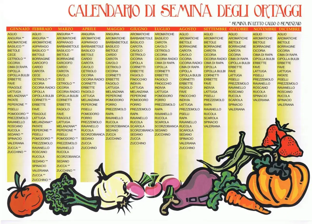 Calendario lunare febbraio: semina ortaggi mese per mese, da aglio a zucchino, con verdure illustrate.