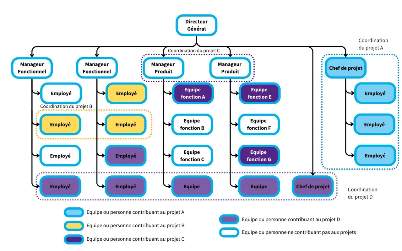 Organigramme montrant une structure organisationnelle plate avec un directeur général, des managers fonctionnels et produit, et des équipes projet.