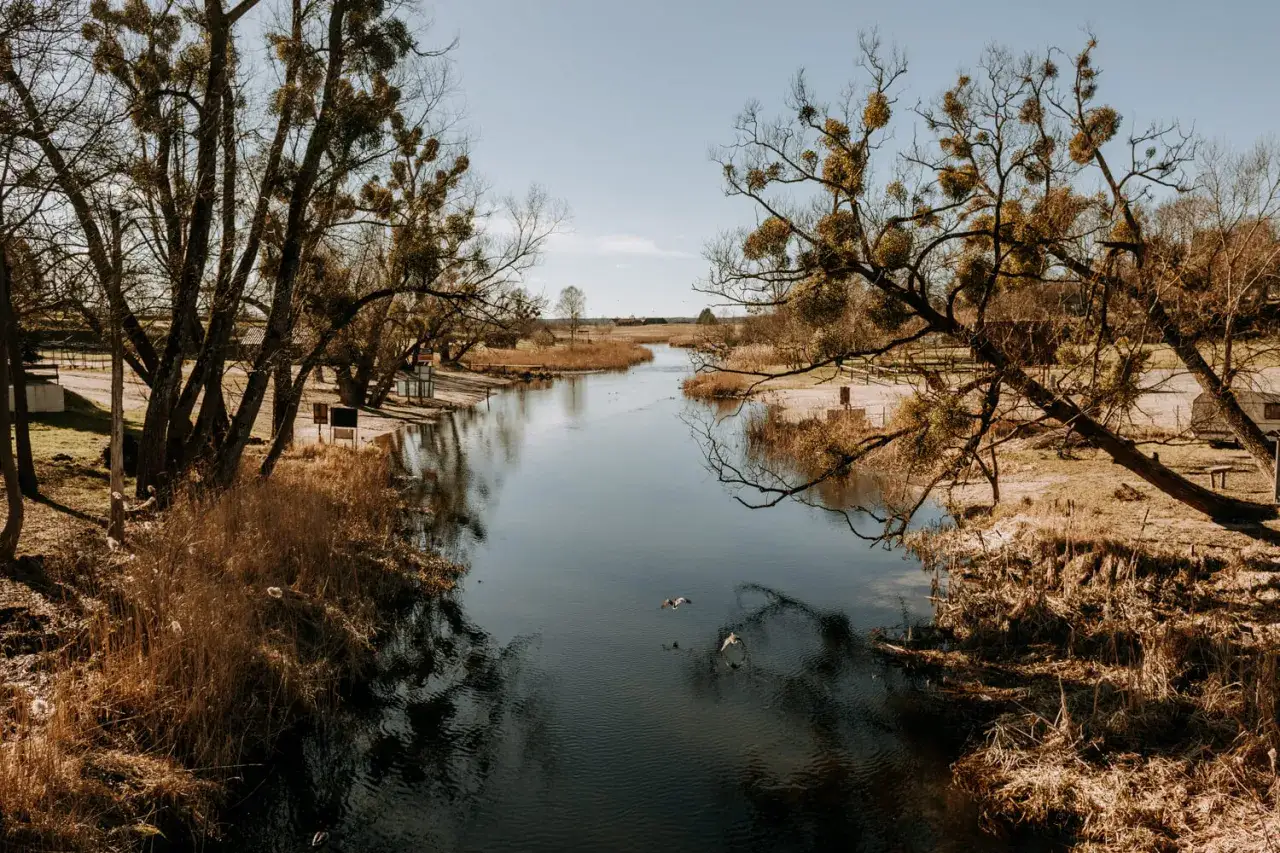 Spokojna rzeka, drzewa z jemiołą, trzciny i ptaki. Idealne miejsce, by zastanowić się, gdzie na Mazury.