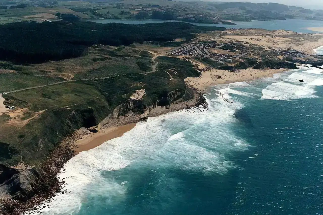 Vista a&eacute;rea de la **playa de Canallave**, con olas rompiendo en la costa rocosa y arena dorada. Detr&aacute;s, un bosque oscuro y dunas.
