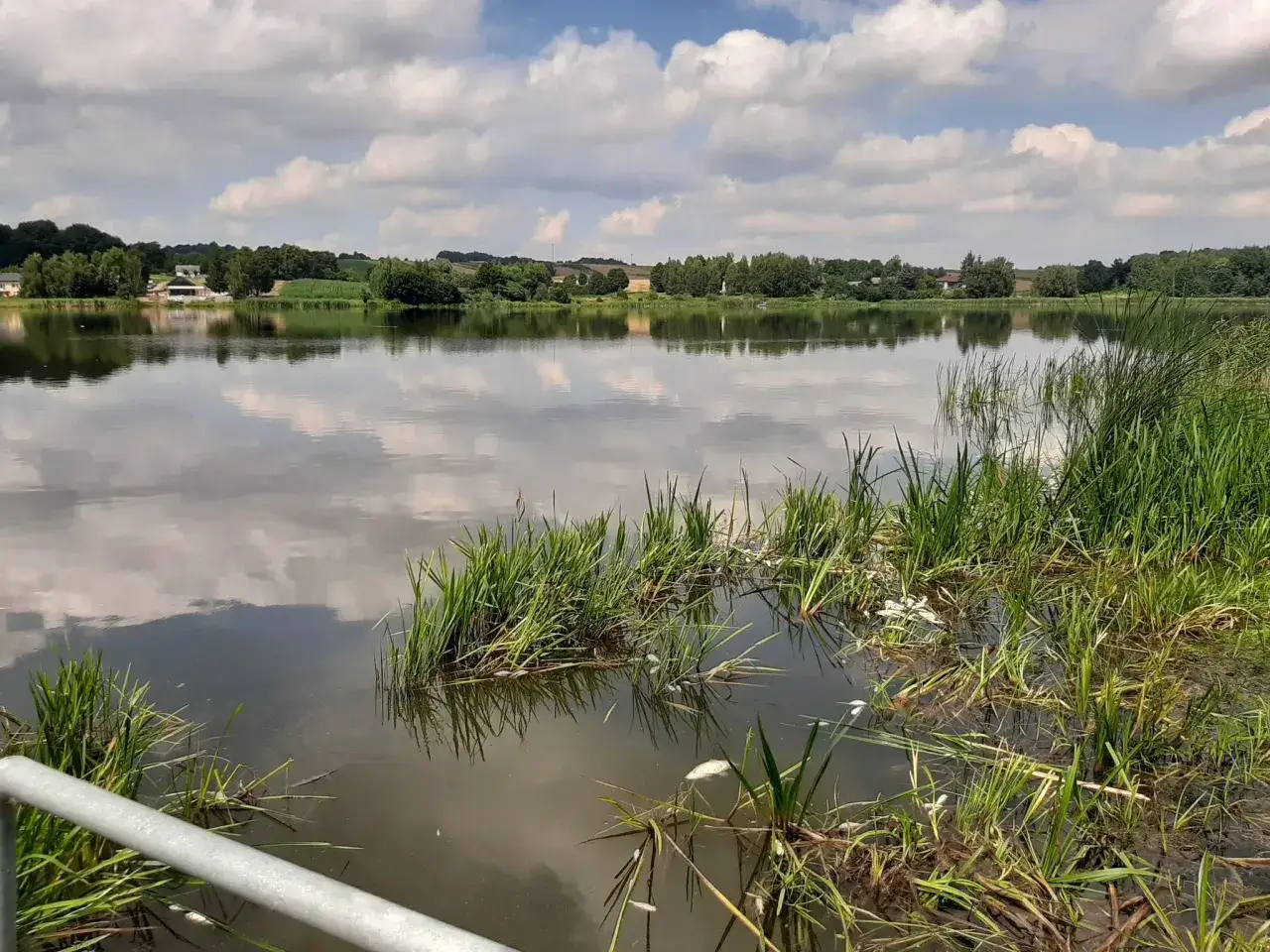 Spokojne jeziora lubelskie z odbijającymi się chmurami na tafli wody. W oddali zieleń drzew i zabudowania.
