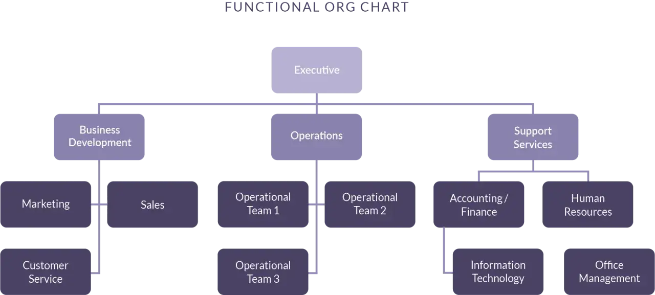 Organigrama que muestra una **estructura organizativa funcional** con departamentos como Ejecutivo, Operaciones, Desarrollo de Negocios, Marketing, Ventas y Servicios de Soporte.