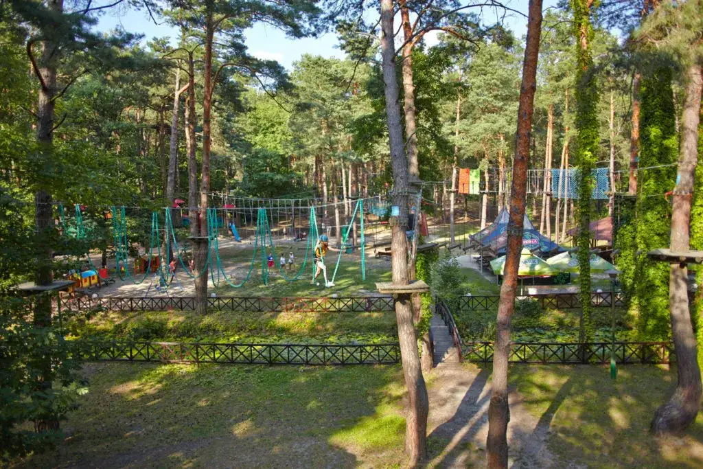 Park linowy Lublin Zalew Zemborzycki Leśna Ryba zdjęcia