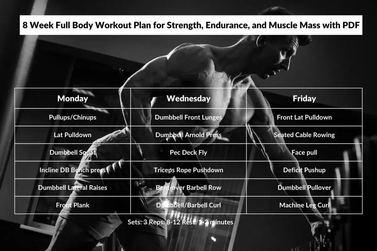 Trainingsplan f&uuml;r maximalen Muskelaufbau: 8 Wochen Ganzk&ouml;rpertraining f&uuml;r Kraft, Ausdauer und Masse. Montags, mittwochs und freitags &Uuml;bungen wie Klimmz&uuml;ge, Kniebeugen und Bizeps-Curls.