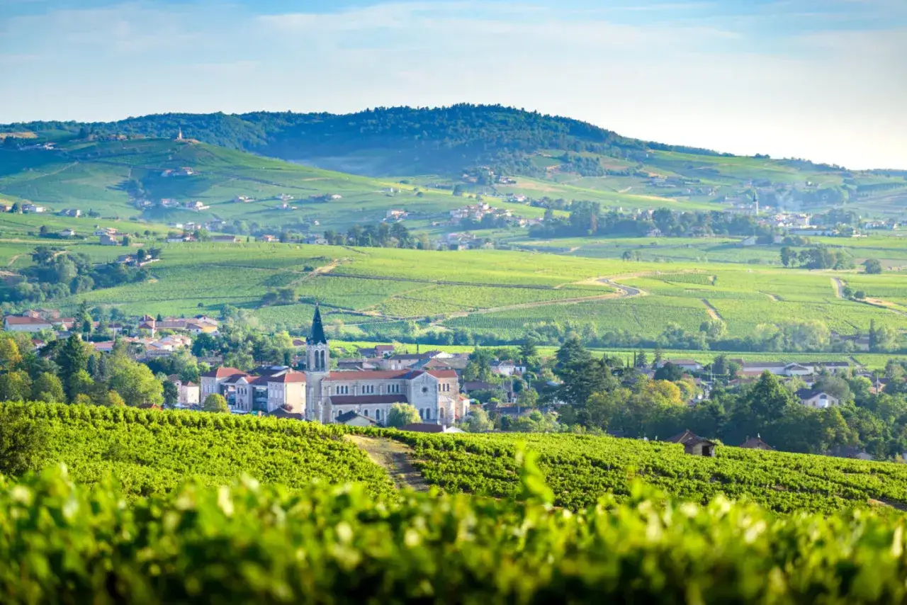 Paysage verdoyant du Beaujolais, avec un village dominé par son église. Les vignobles s'étendent à perte de vue, évoquant les plus beaux villages du Beaujolais.
