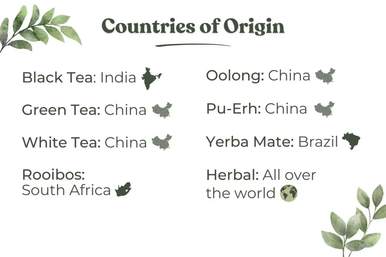 Liste des noms de thé et de leurs pays d'origine : thé noir d'Inde, thé vert et blanc de Chine, oolong et pu-erh de Chine, yerba maté du Brésil, rooibos d'Afrique du Sud, tisanes du monde entier.