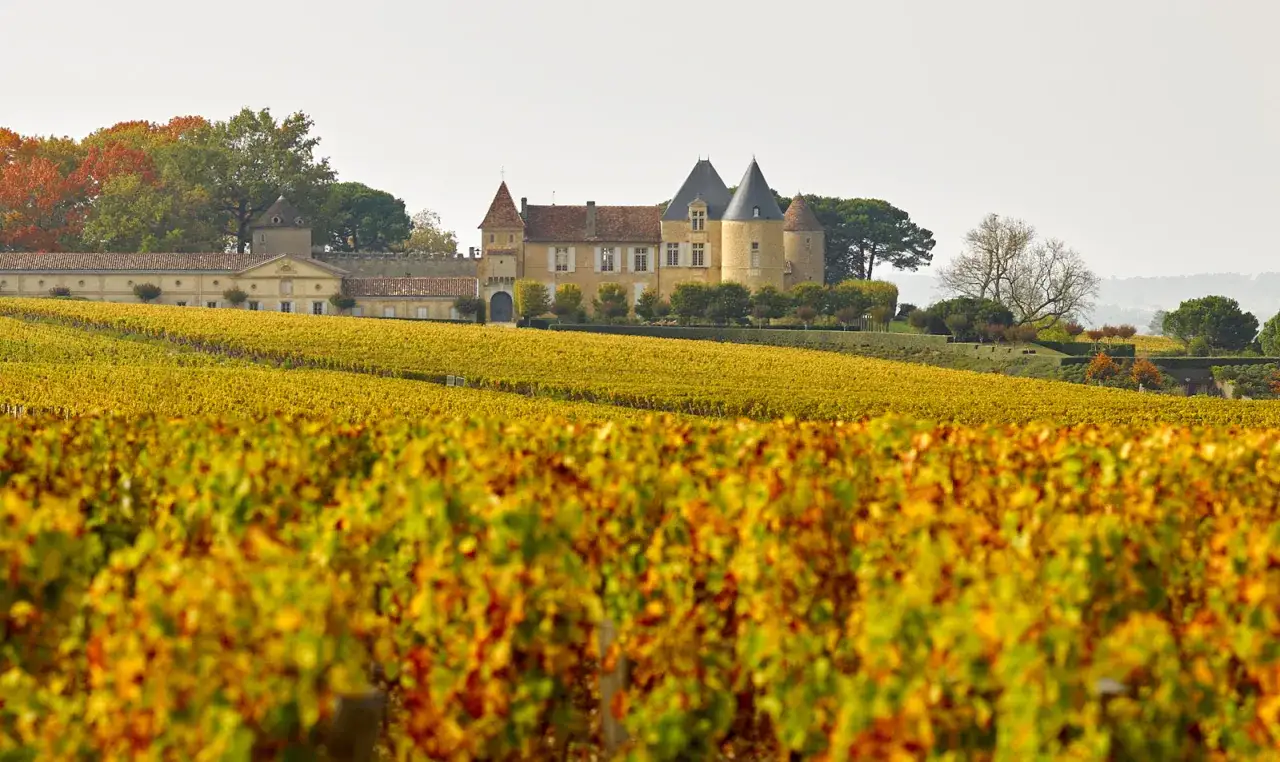 Château de Luze, domaine viticole d'Alexandre de Lur Saluces, baigné par la lumière automnale.