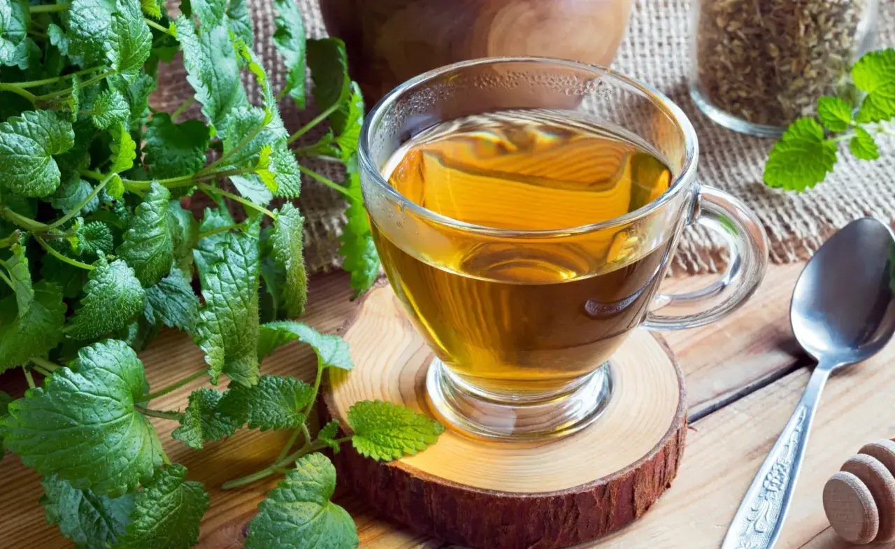 Eine Tasse goldener Zitronenmelisse tee steht auf einem Holzscheit, daneben frische Melisse und ein Löffel.