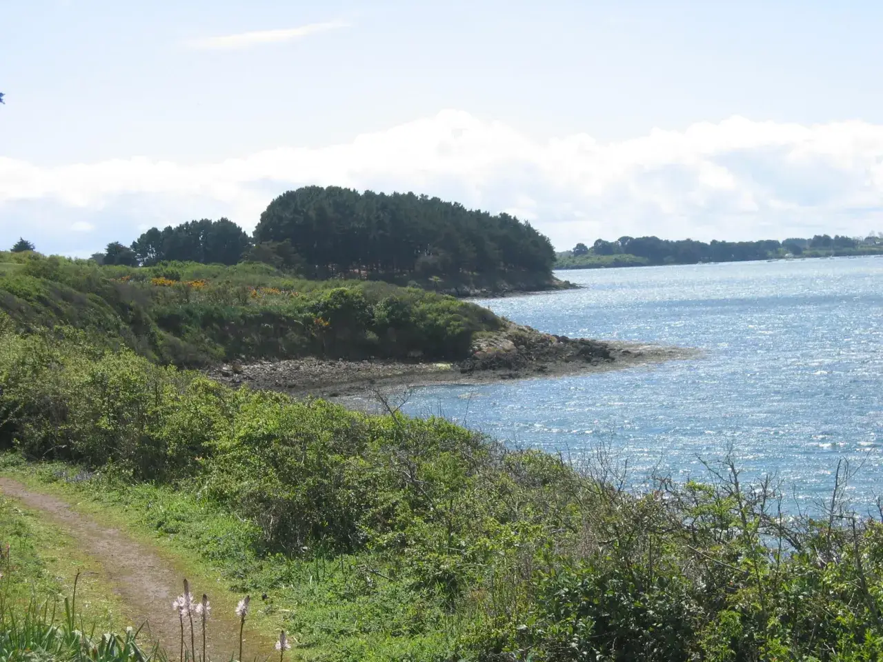 Un sentier serpente &agrave; travers la v&eacute;g&eacute;tation luxuriante menant &agrave; la c&ocirc;te rocheuse. Parfait pour un week-end au Golfe du Morbihan.