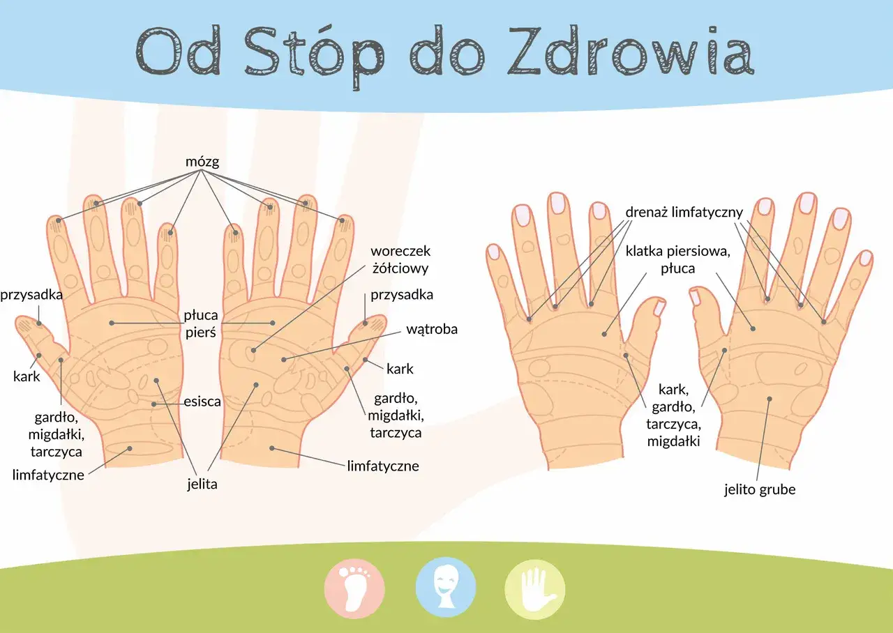 mapa punktów akupresury na dłoni