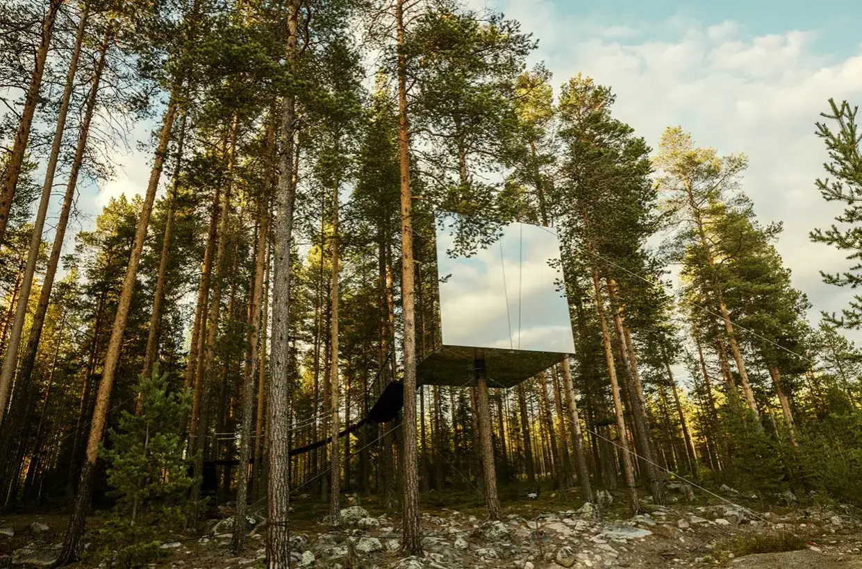 Ett spegelblankt rum svävar bland höga tallar. Detta unika trädhus, en del av ett skogs hotell, smälter nästan helt in i den omgivande naturen.
