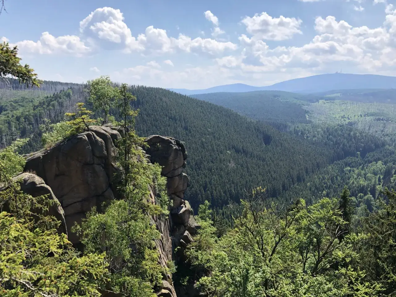 Felsformationen und dichte Wälder im Harz bei Bad Harzburg. Im Hintergrund ist der Brocken zu sehen.