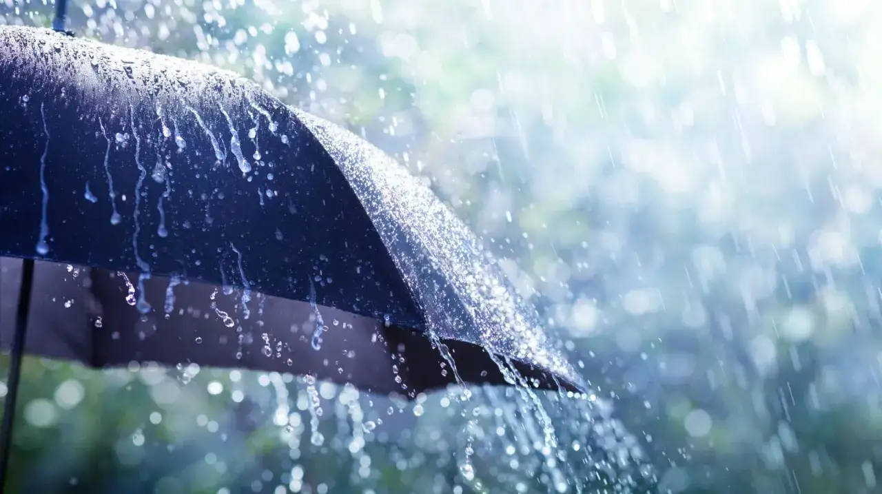 Deszczowa pogoda w Karwi? Parasol chroni przed kroplami. Warto mieć go pod ręką, gdy nie wiesz, co robić w razie niepogody.