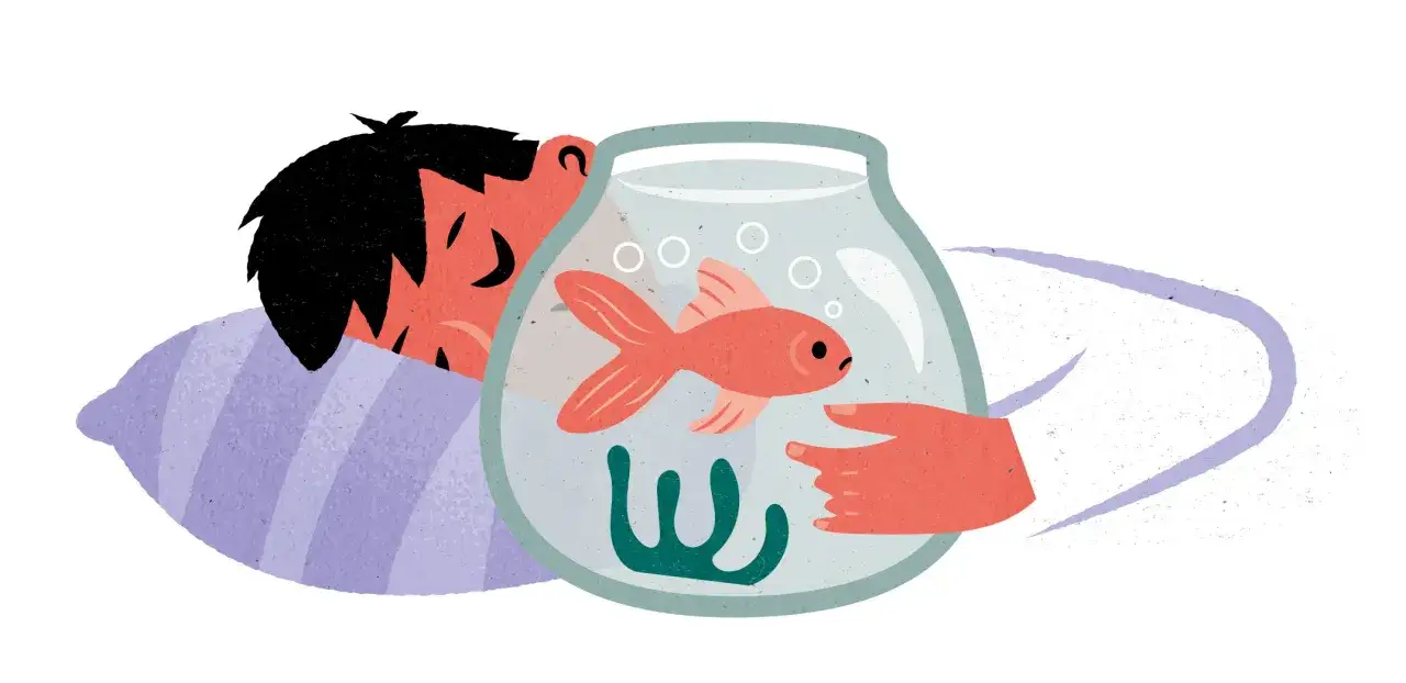 Sömnproblem hos barn kan vara utmanande. Bilden visar en sovande pojke med en guldfisk i en skål, som symboliserar lugn och ro, likt effekten av melatonin till barn.