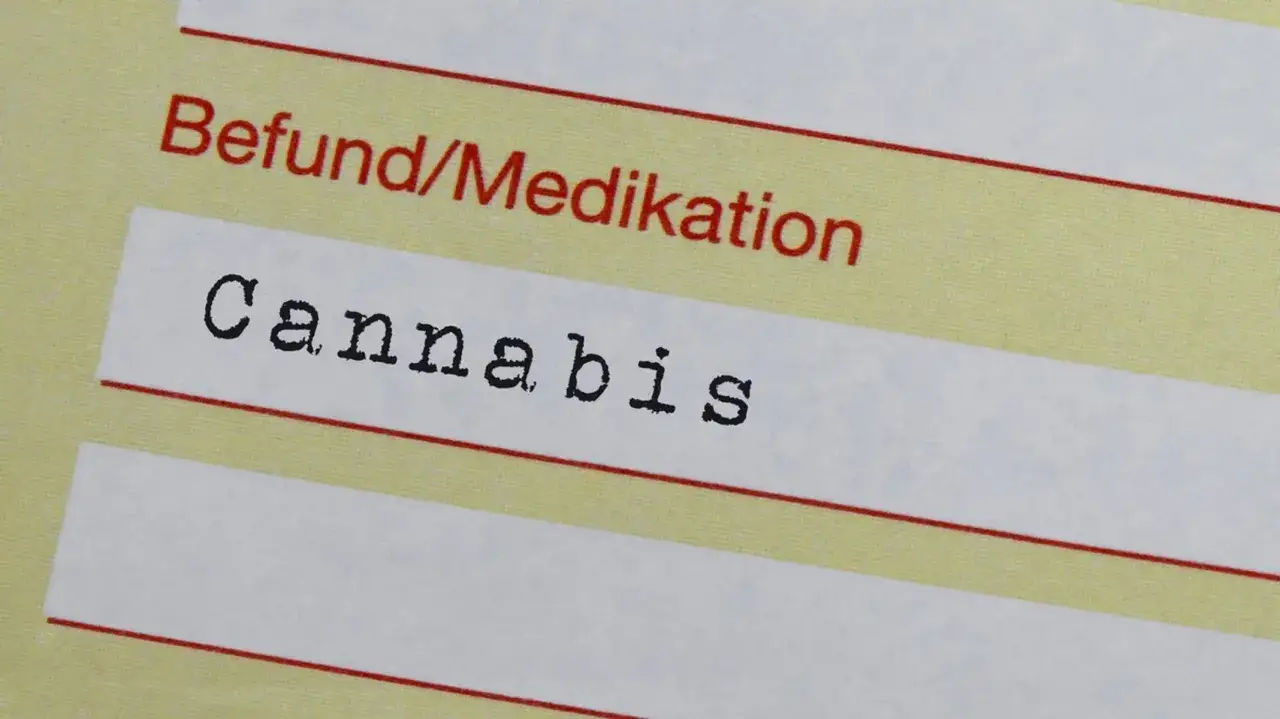 Zdjęcie Dr ansay: privatrezept oder kassenrezept für medizinisches cannabis?