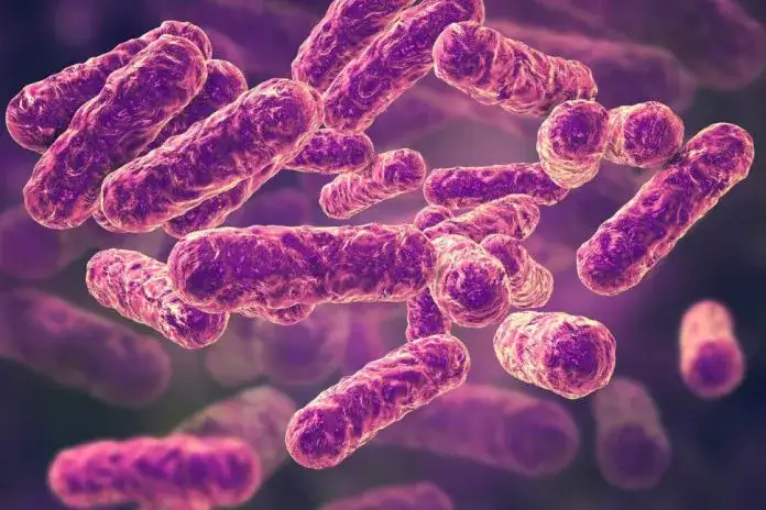 Zdjęcie Bartonella objawy psychiczne: Jak infekcja wpływa na zdrowie psychiczne