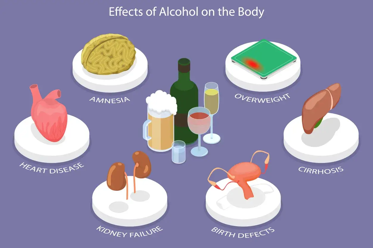 Alkohol szkodzi sercu, prowadząc do chorób i niewydolności. Grafika pokazuje też jego wpływ na mózg, wątrobę, nerki i płodność.