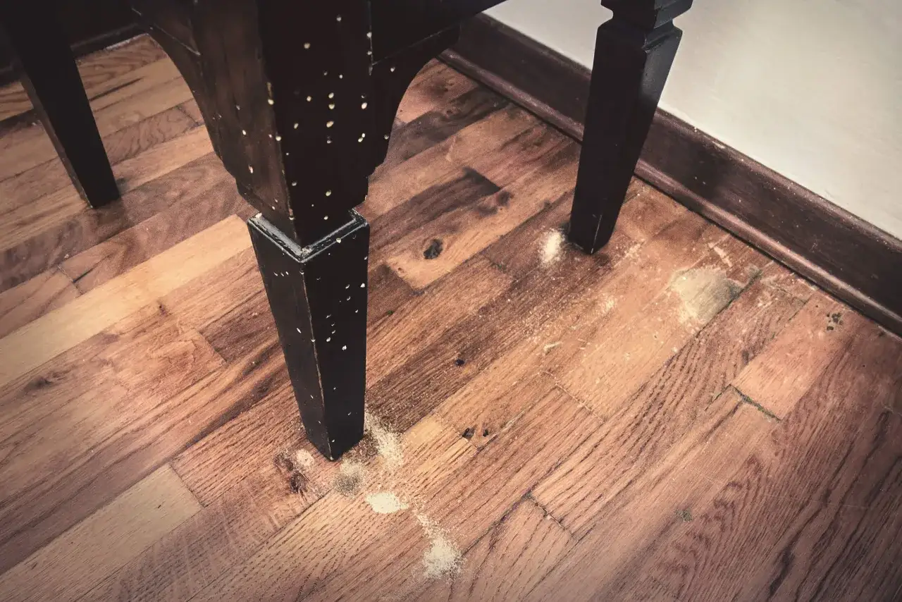 Gambe di un mobile in legno con piccoli fori e segatura sul pavimento. Un classico problema che ricorda i tarli del legno e i rimedi della nonna.