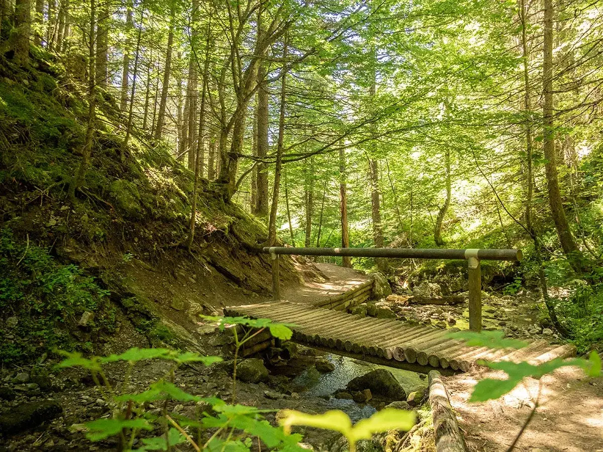 Chemin forestier ensoleillé avec un pont en bois traversant un ruisseau, parfait pour une balade familiale à Villard-de-Lans.