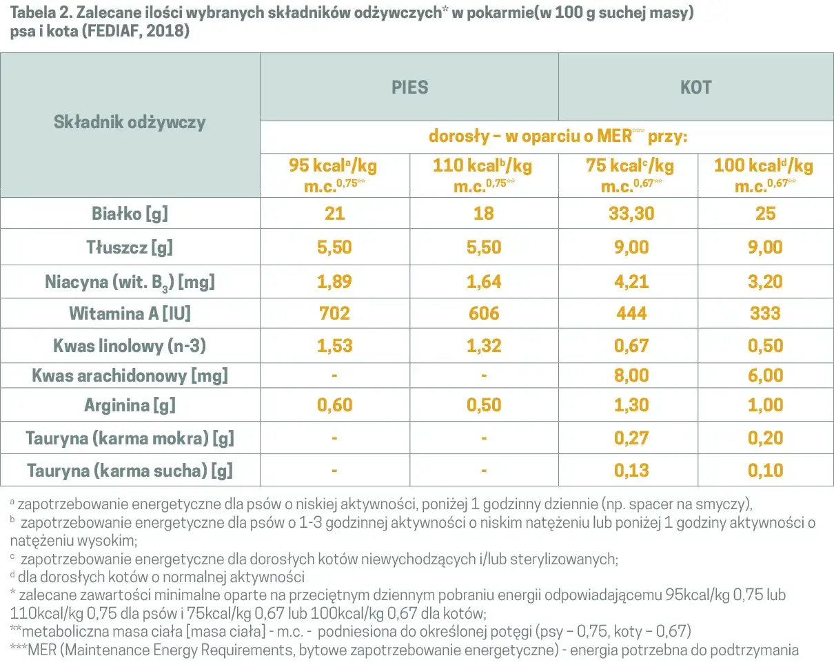 różnice w składzie karmy dla kota i psa infografika