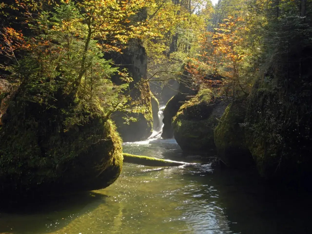 Ein versteckter **Isny Wasserfall** im Herbstlicht. Moosbewachsene Felsen s&auml;umen den Fluss, w&auml;hrend bunte Bl&auml;tter von den B&auml;umen fallen.