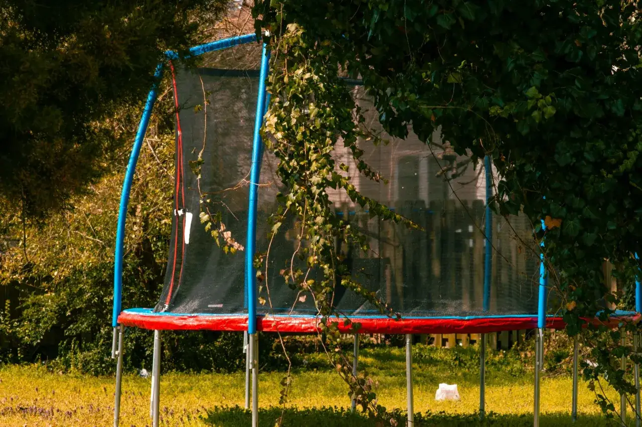 En bl&aring; studsmatta med r&ouml;d kant st&aring;r i en gr&ouml;nskande tr&auml;dg&aring;rd. Kl&auml;tterv&auml;xter slingrar sig &ouml;ver n&auml;tet, som om n&aring;gon redan b&ouml;rjat montera studsmatta.
