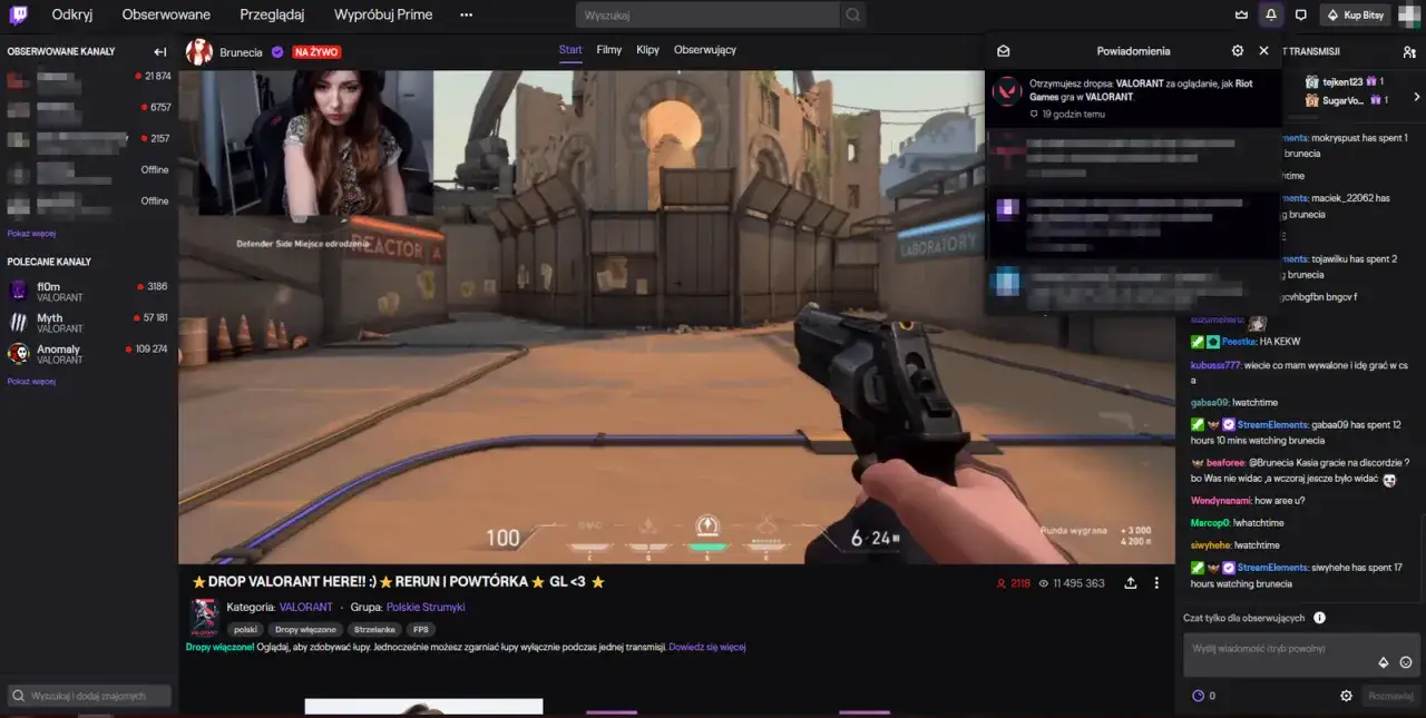 Zrzut ekranu z zakładki połączeń na Twitchu z widocznym Riot Games