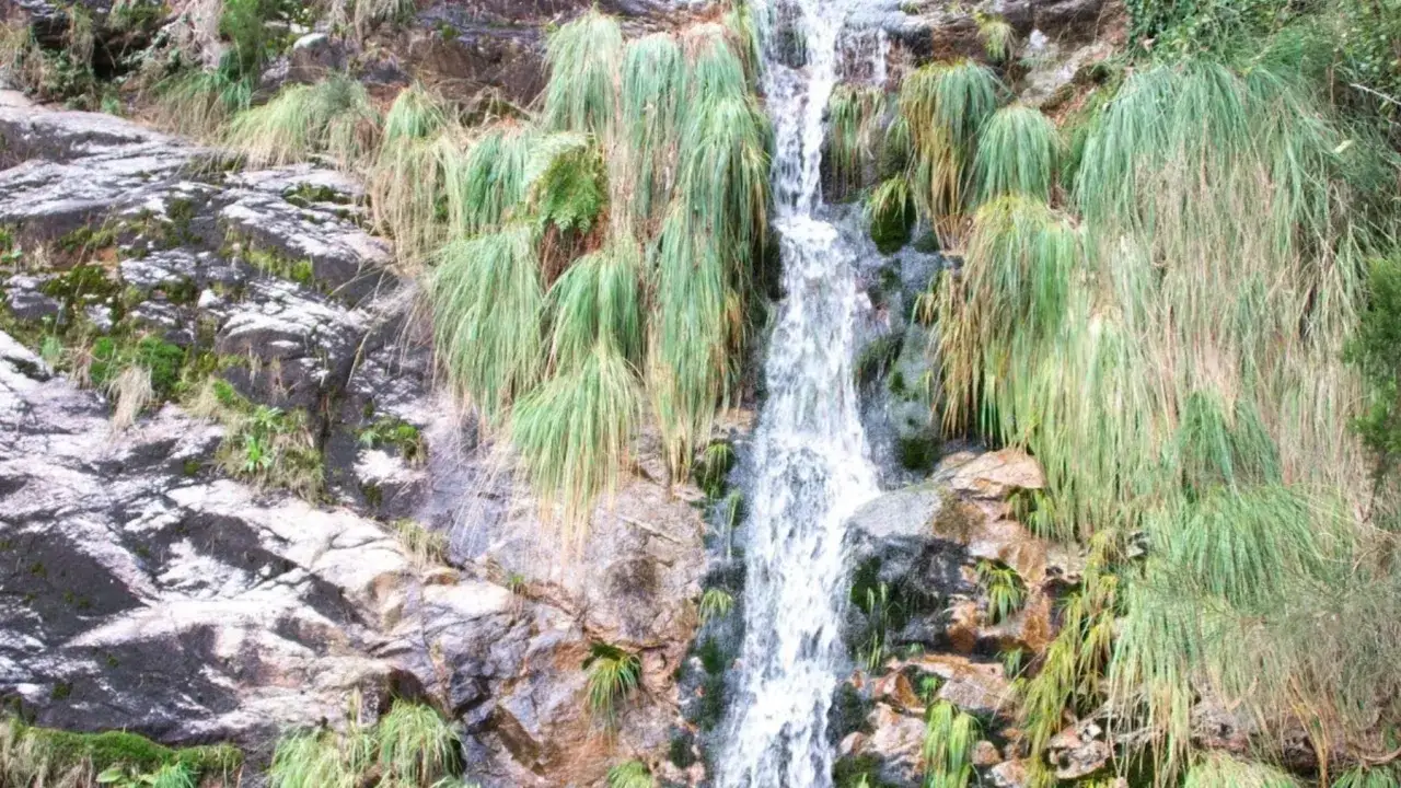 Cascada de agua cayendo sobre rocas cubiertas de musgo y vegetación exuberante, creando un paisaje natural en las pozas de Mougas.