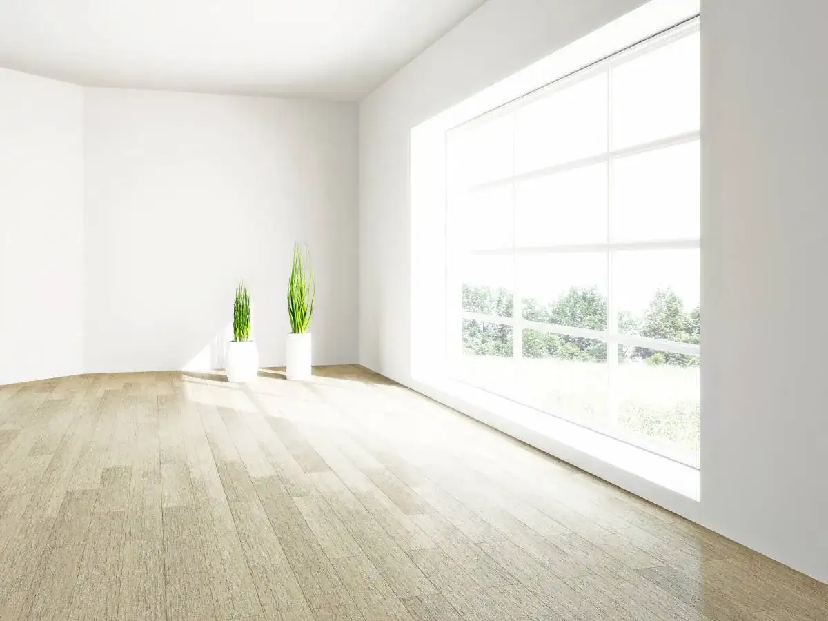 Un salon lumineux avec un sol en balatome sol, deux plantes vertes dans des pots blancs et une grande fenêtre donnant sur un paysage verdoyant.