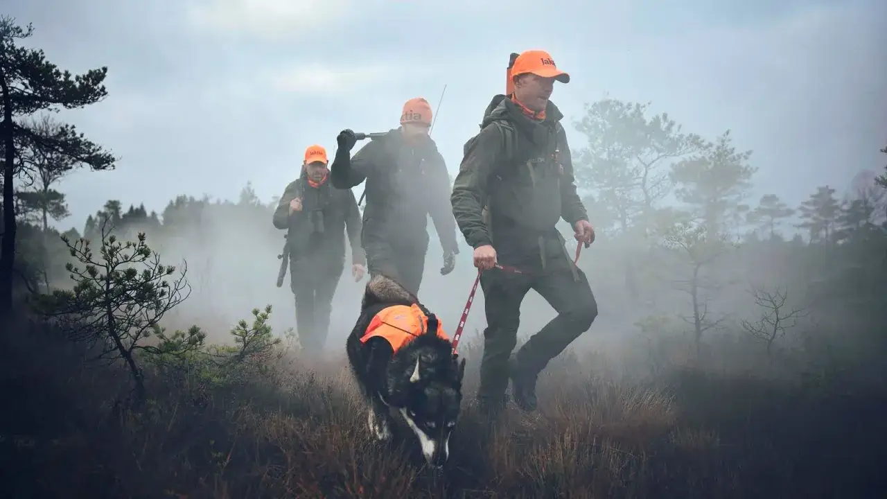 J&auml;gare med orange m&ouml;ssor och en hund med reflexv&auml;st g&aring;r genom dimmig skog.