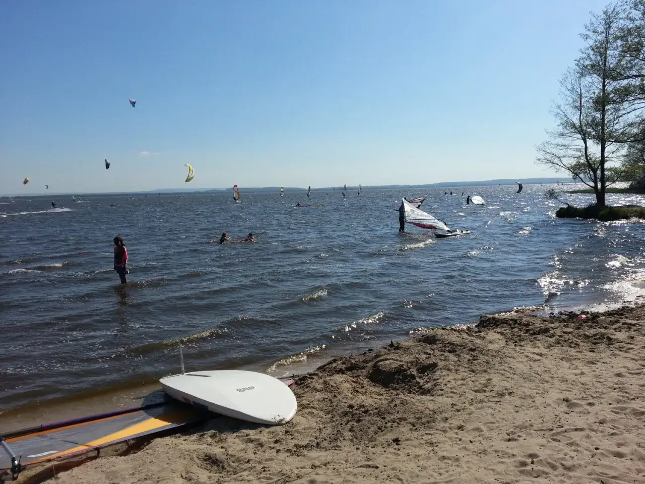 Windsurfer tummeln sich auf dem Steinhuder Meer. Sonnenschein und blauer Himmel über dem Wasser.