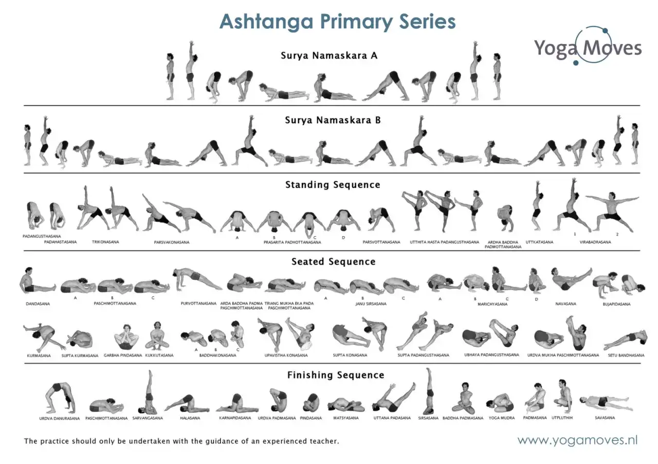 Ilustracja przedstawia sekwencje pozycji jogi z **ashtanga** primary series: Surya Namaskara A i B, sekwencję stojącą, siedzącą i końcową.