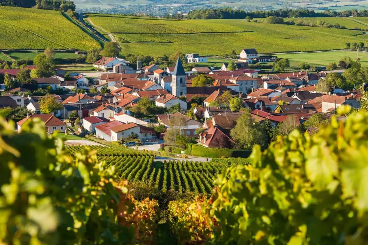Vigneti rigogliosi circondano un villaggio pittoresco sulla **C&ocirc;te de Bar**, con tetti rossi e una torre campanaria che svetta.