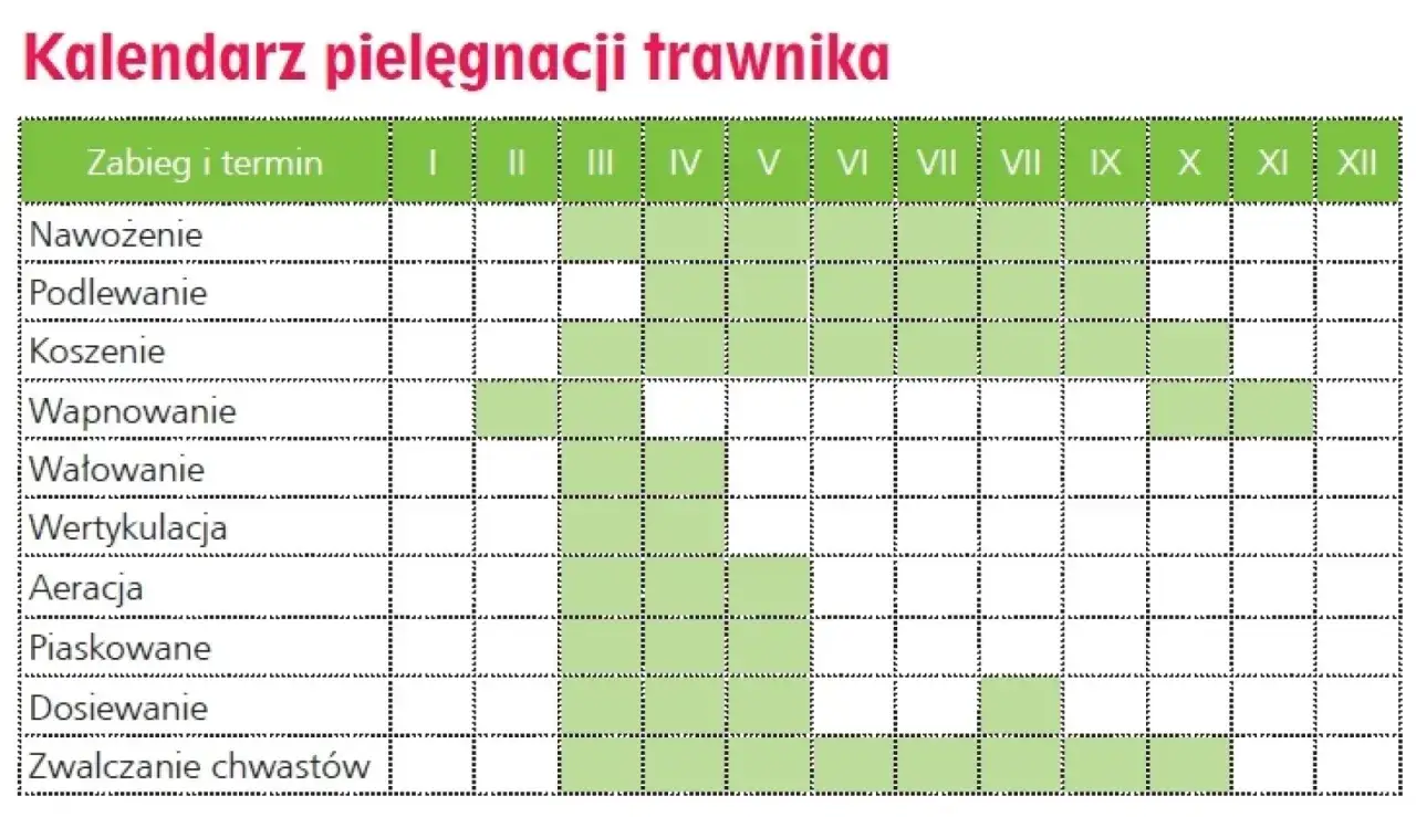 Kalendarz pielęgnacji trawnika pokazuje, kiedy nawozić, podlewać, kosić, wapnować, wałować, wertykulować, aerować, piaskować, dosiewać i zwalczać chwasty.