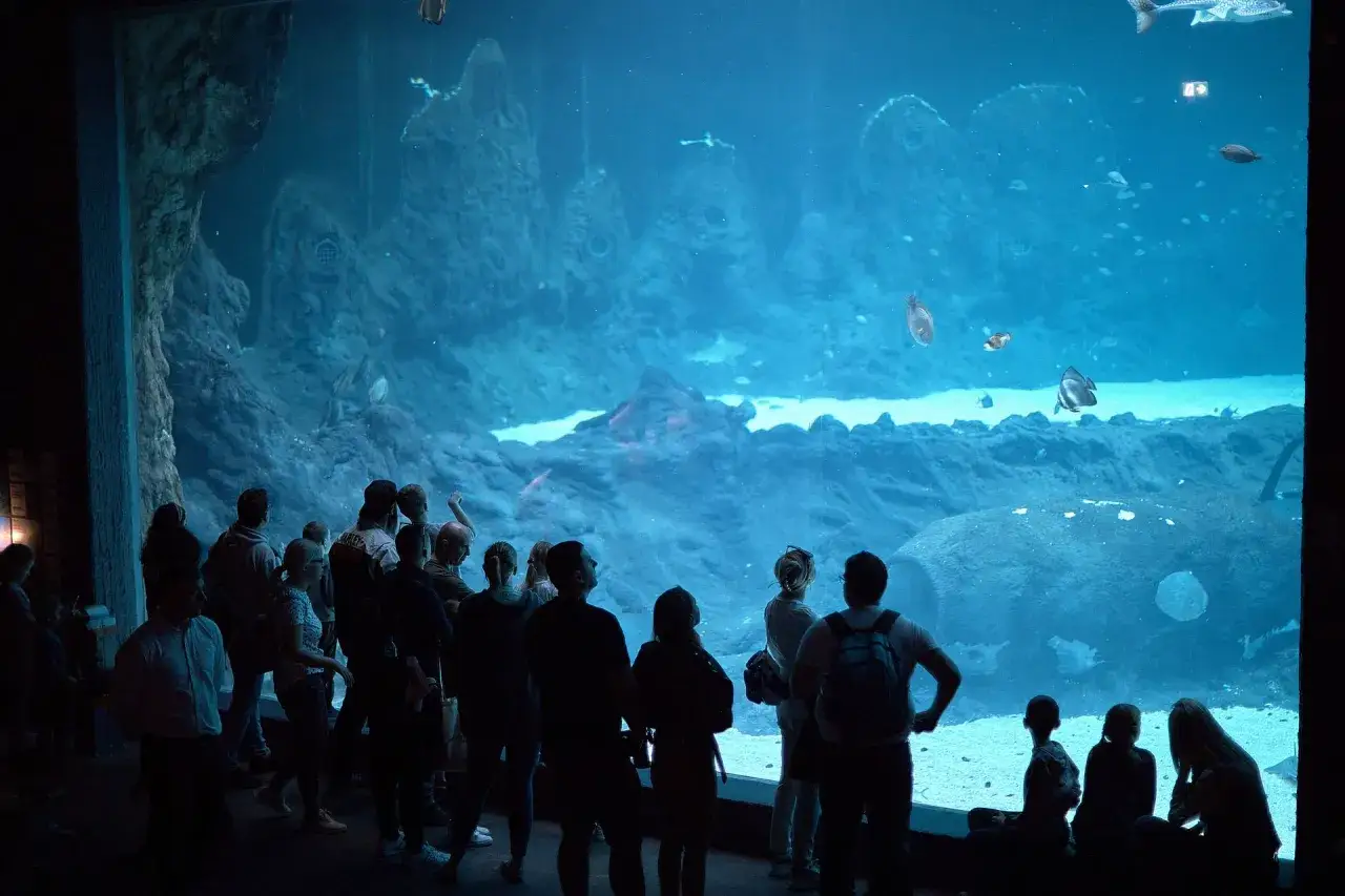 Ludzie oglądają podwodny świat w oceanarium w Łodzi. Ryby pływają wśr&oacute;d skalnych formacji.