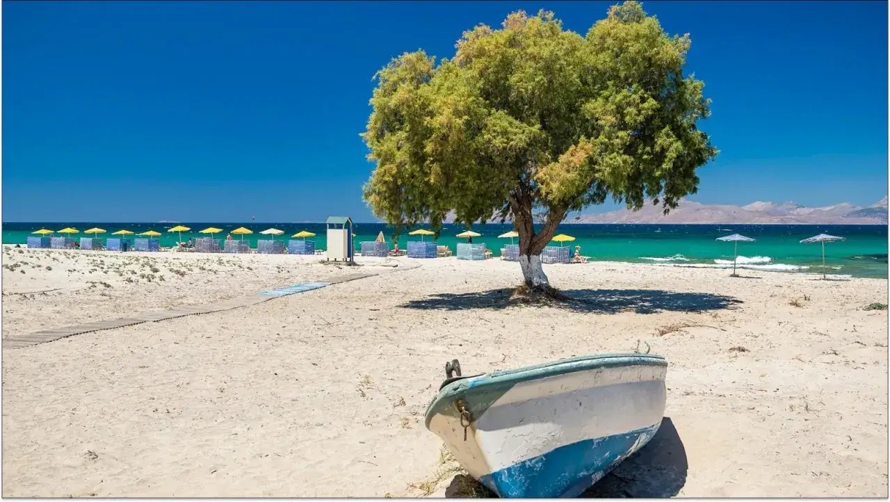 Łódka na piaszczystej plaży, z rzędem parasoli i drzewem. Widok na turkusowe morze i góry w oddali. Idealne miejsce na wyspie Kos.