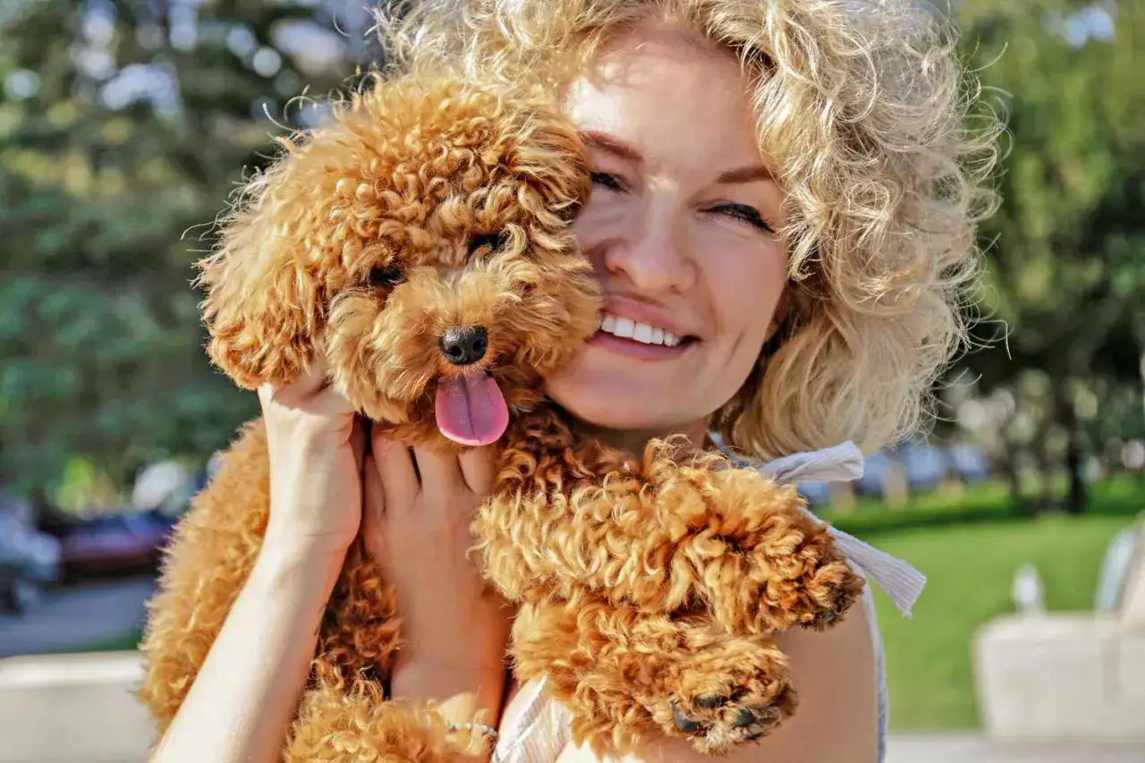 Donna sorride abbracciando un maltipoo con la lingua fuori. Nonostante il suo aspetto adorabile, questo maltipoo puzza un po' dopo una giornata di giochi.