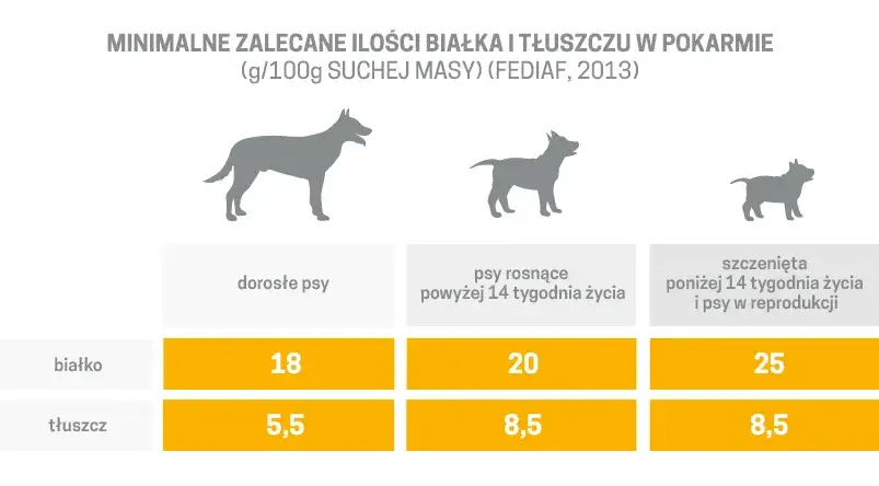 r&oacute;żnice w karmie dla szczeniąt i dorosłych ps&oacute;w
