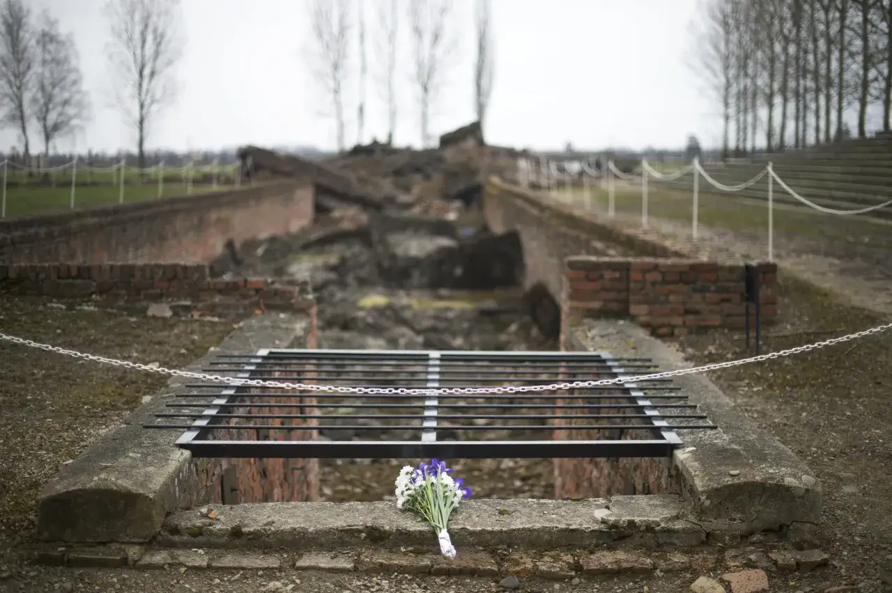 Blommor vilar vid ruinerna av gaskammare i Auschwitz, en påminnelse om fasansfulla brott.