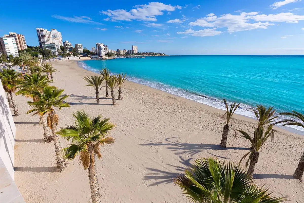 Piękna plaża w Alicante, z palmami i turkusowym morzem. Idealne miejsce, by zobaczyć, jak odpocząć.