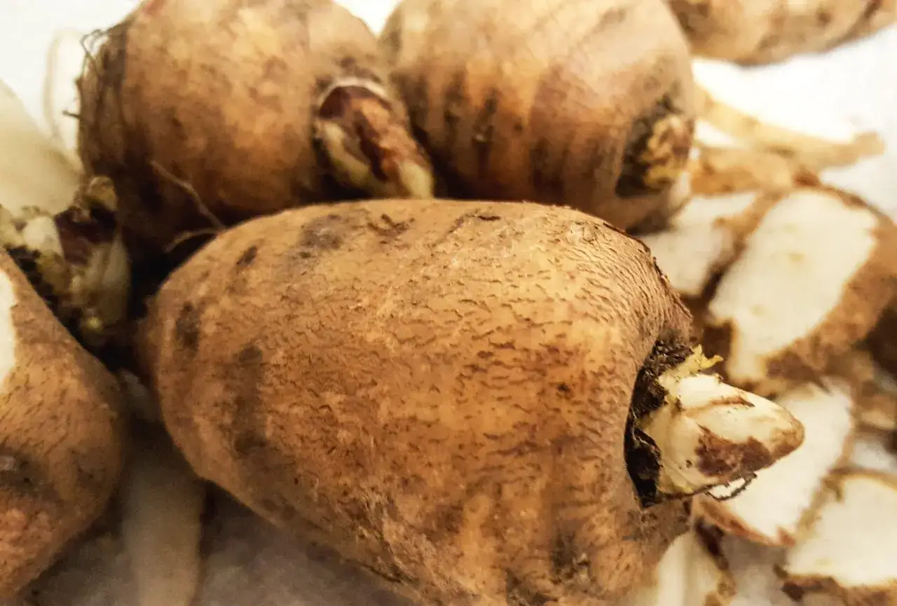 Gros plan sur des légumes anciens tubercules bruns, certains avec des pousses blanches.