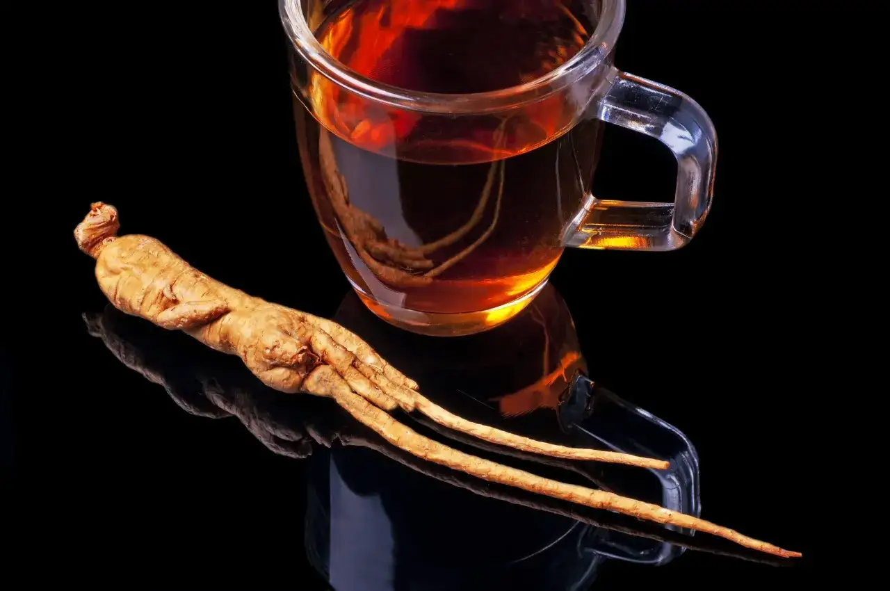 Radice di ginseng e una tazza di tè ambrato. Il ginseng, come è fatto, mostra la sua forma unica e le sue radici ramificate.