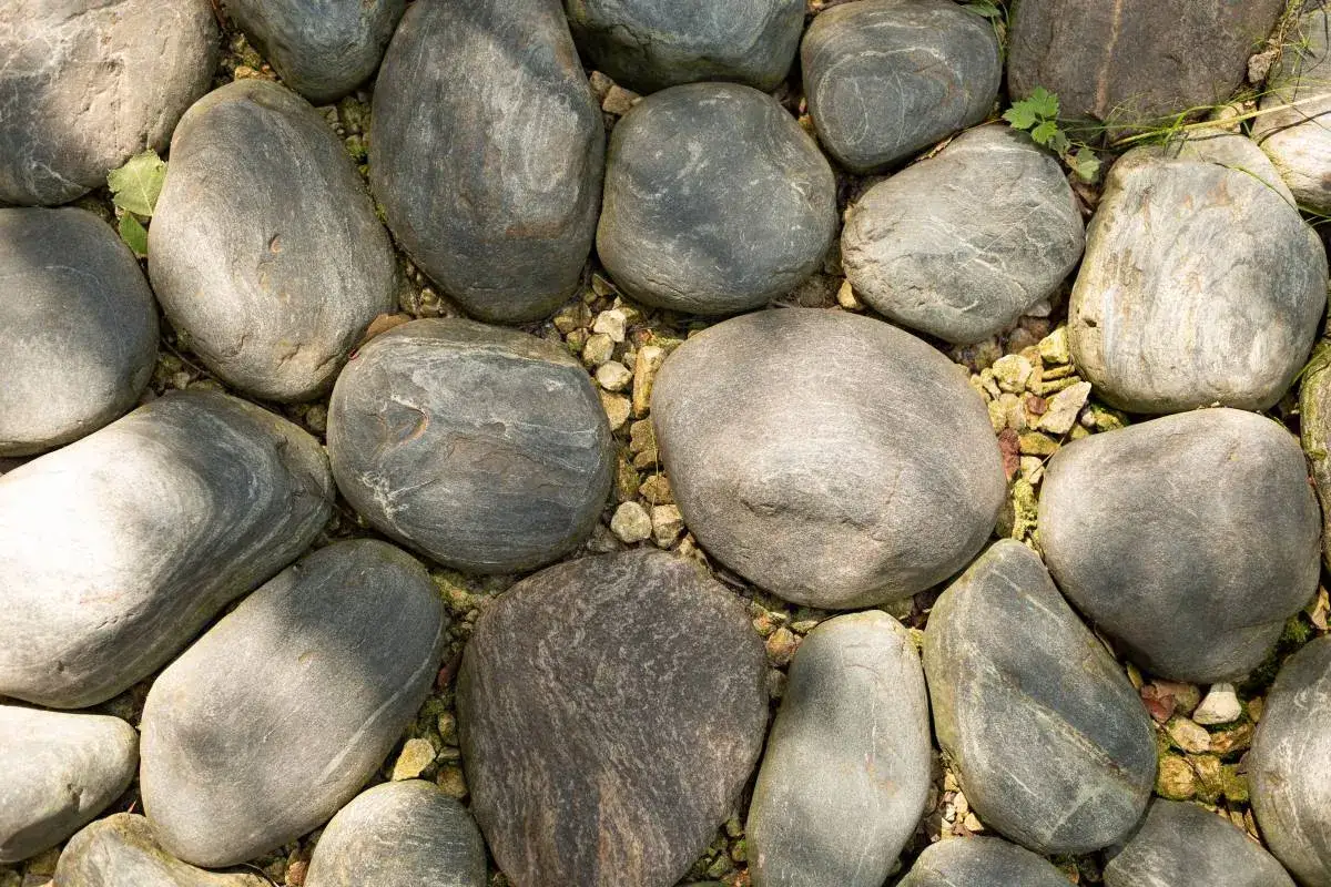 Gładkie, zaokrąglone kamienie polne tworzą naturalny murek w ogrodzie, otoczone drobnym żwirem i zielenią.