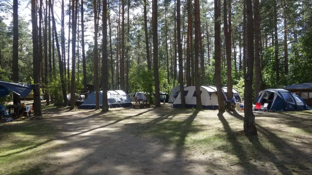 Malowniczy pole namiotowe nad jeziorem, otoczone sosnowym lasem. Kilka namiotów rozbitych na piaszczystym podłożu, w cieniu drzew.